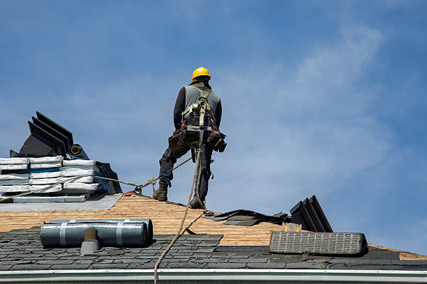 Professional Storm Damage Roof Repair technician working in Delphos, OH